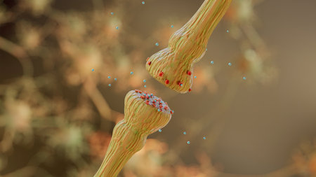 neurotransmitter release mechanisms. Neurotransmitters are packaged into synaptic vesicles transmit...