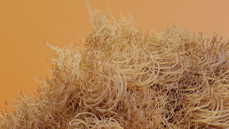 long-haired fur pompon, ball of hair, cotton wool, fluffy ball, colorful furry sphere, close-up fragment, Abstract brown dog fur, soft wool texture, Kitten hair, fabric texture, 3dの素材 [FY310196509515]