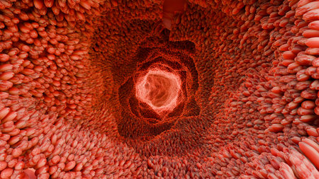 intestinal villi, Red microvilli in an intestinal tract. close-up, Microbiology, anatomy, biology,...