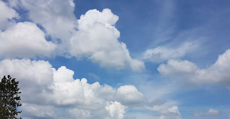 Beautiful clouds on sky in summer