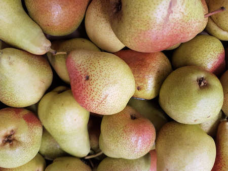 Fruits in summer