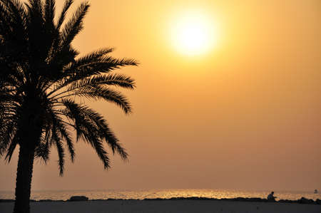 Sunset view from seasideの写真素材