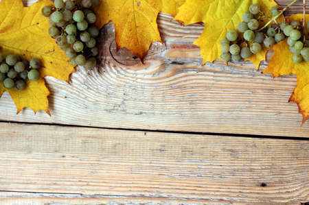 Yellow marple leaves and green grapes on wooden textureの写真素材