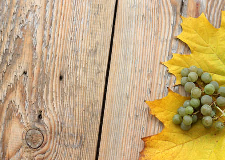 Yellow marple leaves and green grapes on wooden textureの写真素材