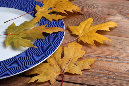 Blue plate and maple leaves on a wooden tableの写真素材