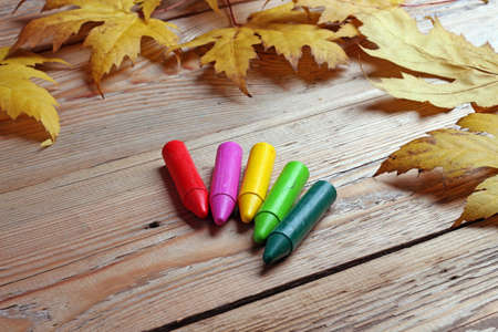 Multicilored crayons and maple leaves lying on a wooden tableの写真素材