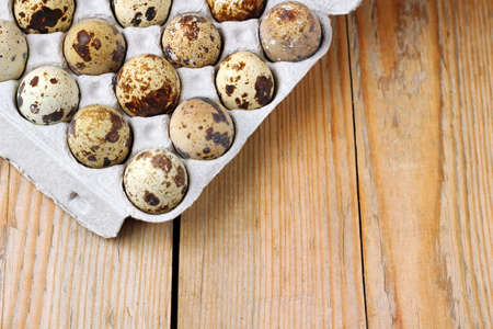 Closeup of some quail eggs. Selective focus, easter copy space backgroundの写真素材