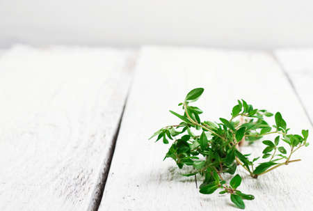 Still life, food and drink, health concept. Fresh herbs (thyme) on a wooden table. Selective focus, copy space white background, rustic styleの写真素材