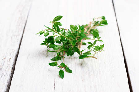Still life, food and drink, health concept. Fresh herbs (thyme) on a wooden table. Selective focus, rustic styleの写真素材