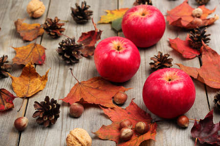 Still life, food and drink, seasonal concept. Autumn apples with nuts, cones and leaves on a wooden background. Selective focusの写真素材