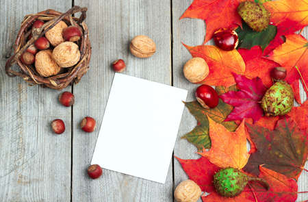 Still life, seasonal and holidays concept. Autumn leaves and basket with nuts on a wooden...