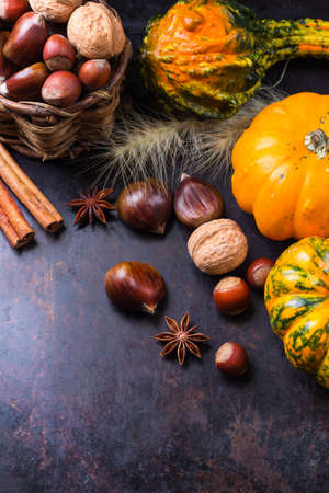 Autumn fall harvest halloween still life composition with pumpkin nuts chestnut spices on rustic table. Selective focus, copy spaceの写真素材