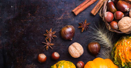 Autumn fall harvest halloween still life composition with pumpkin nuts chestnut spices on rustic table. Selective focus, top view overhead flat lay, copy spaceの写真素材