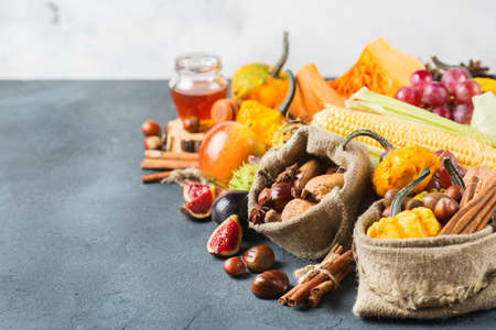 Fall autumn harvest thanksgiving holiday concept. Pumpkin apple chestnut corn nuts grapes, ripe fruit and vegetables on a black table. Copy space backgroundの写真素材