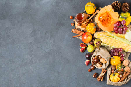 Fall autumn harvest thanksgiving holiday concept. Pumpkin apple chestnut corn nuts grapes, ripe fruit and vegetables on a black table. Copy space background, top view flat layの写真素材