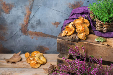 Fall autumn harvest festive thanksgiving concept. Orange edible milky saffron mushrooms, green thyme...