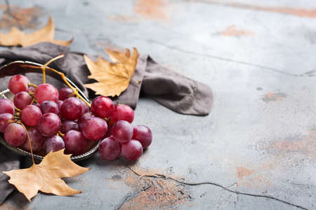 Autumn fall harvest concept. Ripe juicy red grapes on a cozy kitchen table. Copy space backgroundの写真素材