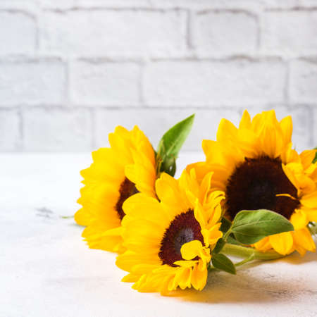 Autumn concept. Background with fresh yellow sunflowers on a white kitchen table. Copy space backgroundの写真素材