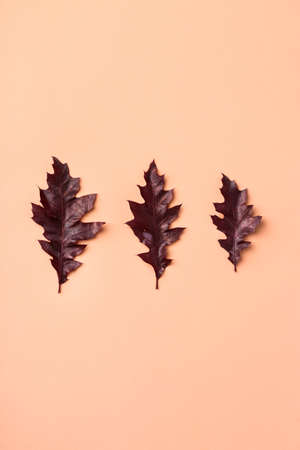 Creative autumn fall thanksgiving day composition with decorative dried leaves. Flat lay, top view,...