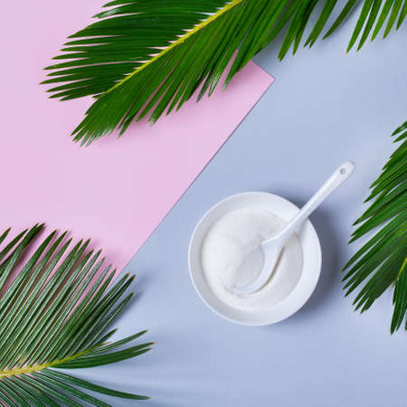 Collagen powder on a trendy pink background with green palm leaves. Natural beauty and health supplement, wellness skincare anti-aging concept. Top view, flat lay, copy spaceの写真素材