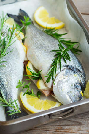 Fresh, raw uncooked sea dorado, dorada fish with lemon, rosemary, oregano, herbs, olive oil on the...