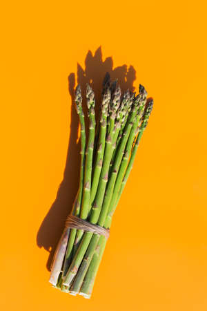Bunch of fresh ripe asparagus with trendy sunny, vivid, hard light and shadows, outdoors. Creative pop art design concept. Copy space bright orange backgroundの写真素材