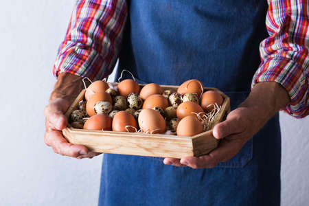 Senior farmer man holding in hands fresh eggs. Assortment of chicken and quail easter eggs. Organic market, bio food delivery, homegrown, homemade, eco-friendly concept.の写真素材