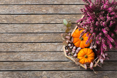 Creative autumn fall thanksgiving day composition with decorative orange pumpkins and purple heather. Flat lay, top view, copy space, still life wooden background. Floral, botanical concept.の写真素材