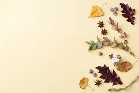 Creative autumn fall thanksgiving day composition with decorative dried leaves. Flat lay, top view,...
