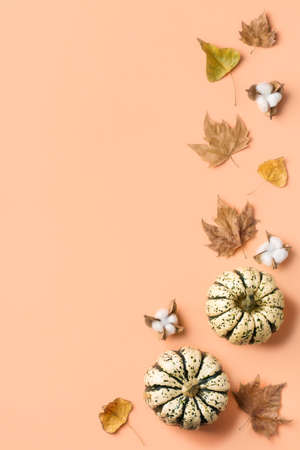 Creative autumn fall thanksgiving day composition with decorative pumpkins and dried leaves. Flat lay, top view, copy space, still life coral pink background for greeting cardの写真素材