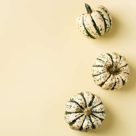 Creative autumn fall thanksgiving day composition with decorative pumpkins. Flat lay, top view, copy space, still life yellow background for greeting cardの写真素材