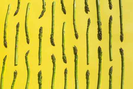 Fresh ripe asparagus with sunny, vivid, hard light and shadows. Creative pop art design concept. Trendy copy space illuminating yellow backgroundの写真素材