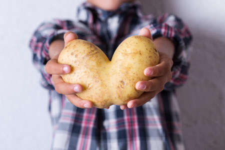 Trendy ugly vegetable, funny potato with imperfect heart shape in hands. Farmers produce, organic, misshapen weird food waste concept. Top view, copy space backgroundの写真素材