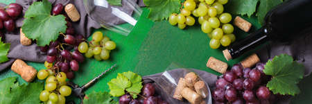 Food and drink, harvest autumn fall concept. Wine tasting, degustation, invitation card with symbols...