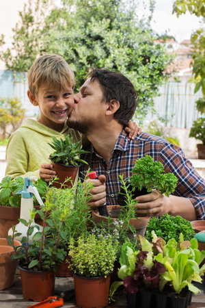 Child helps to father planting herbs and making urban gardenの写真素材