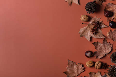 Autumn fall thanksgiving day composition with decorative dried leavesの写真素材