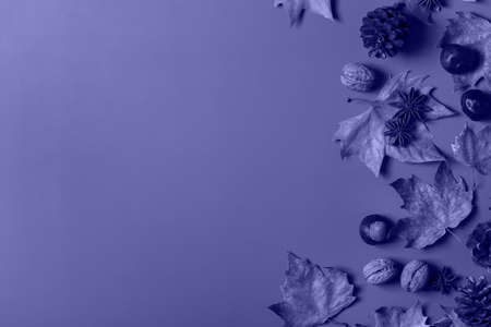 Autumn fall thanksgiving day composition with decorative dried leavesの写真素材