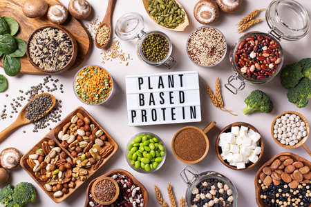 Variety of vegan, plant based protein food, legumes, lentils, beansの写真素材
