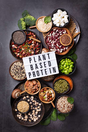 Variety of vegan, plant based protein food, legumes, lentils, beansの写真素材