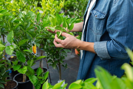 Garden center for the sale of plants and flowersの写真素材