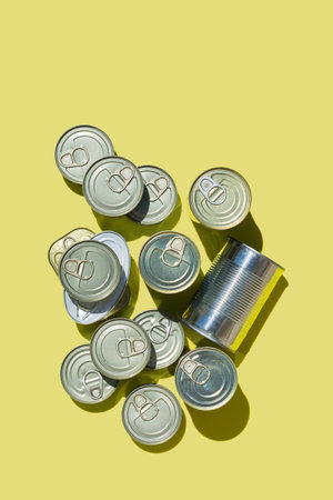 Assortment of Tinned fish, canned foodの写真素材