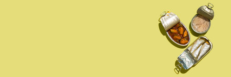 Assortment of Tinned fish, canned food, bannerの写真素材