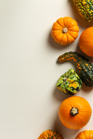 Autumn fall thanksgiving day composition with decorative pumpkinsの写真素材