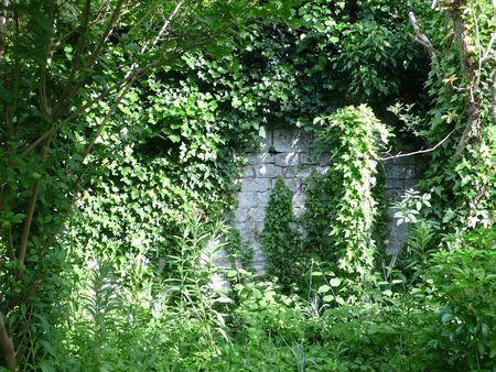 Green setting, in a gardenの写真素材