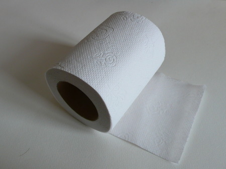 Toilet paper on white の写真素材
