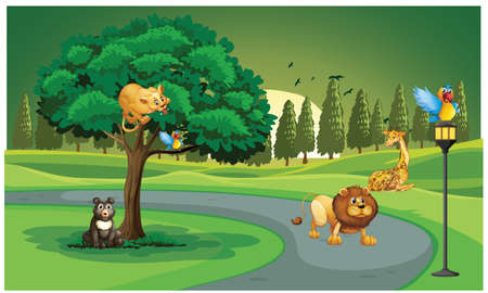 animals are in the zooの写真素材