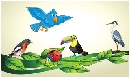 birds are enjoying and playing on treeの写真素材