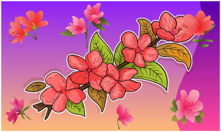 collection of abstract flower on natural light backgroundのイラスト素材