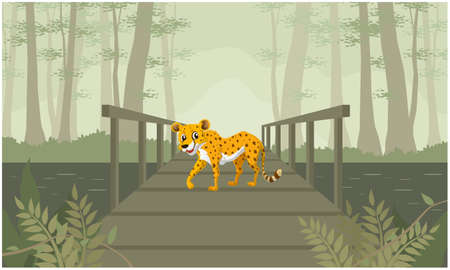tiger is walking on a wooden bridge in the forestの写真素材