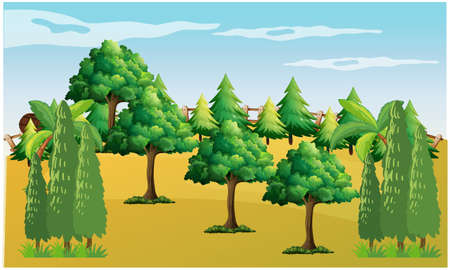 different types of tree in a dry desertのイラスト素材